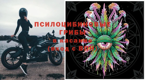 крисы Армянск