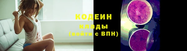крисы Армянск