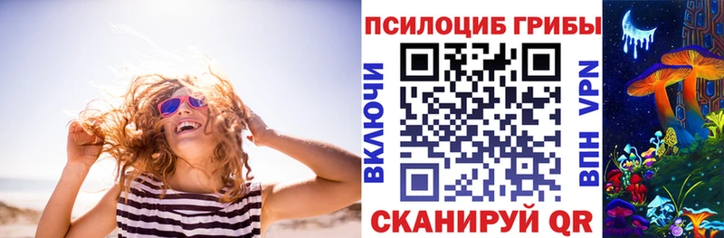 KRAKEN онион  Новый Уренгой  Псилоцибиновые грибы Psilocybe 