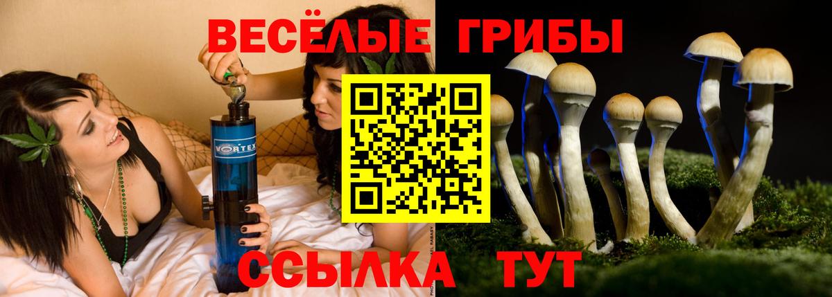 Галлюциногенные грибы GOLDEN TEACHER Новый Уренгой